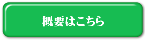 概要はこちらボタン